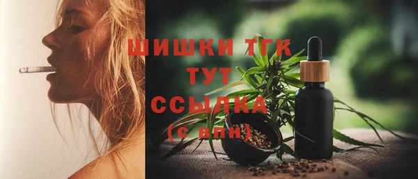 МДПВ Бронницы