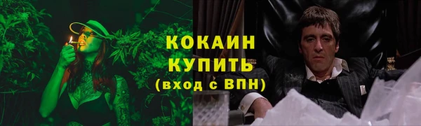 МДПВ Бронницы