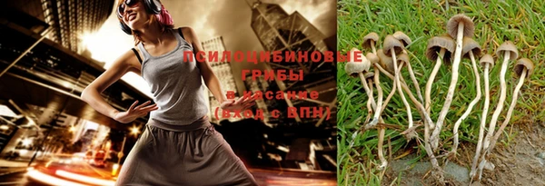 spice Бородино
