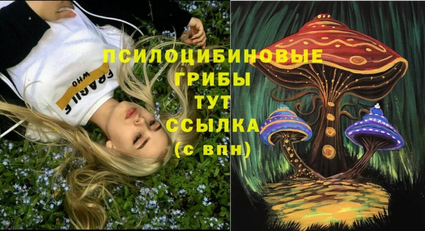 МДПВ Бронницы