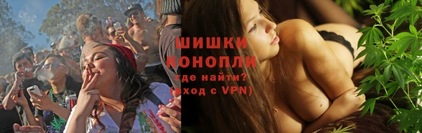 МДПВ Бронницы